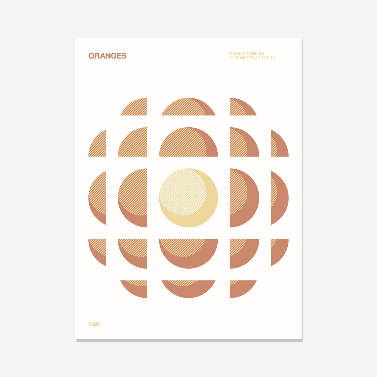 【セット商品】Orange&Parkアート（額あり）&カリフォルニアサインアート ORANGE & PARK – California Oranges Print