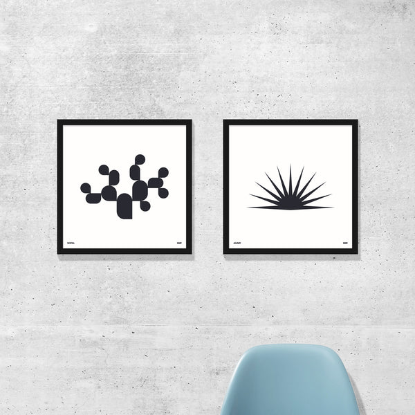 black and white succulent prints ORANGE & PARK – Succulent Prints