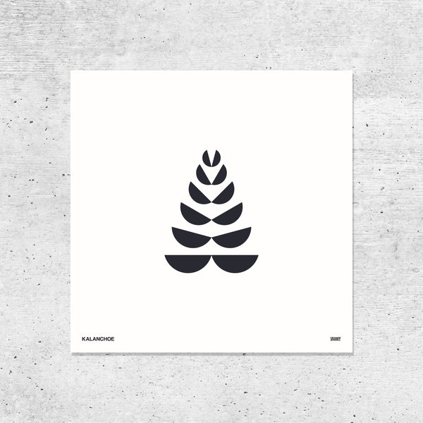 black and white succulent prints ORANGE & PARK – Succulent Prints