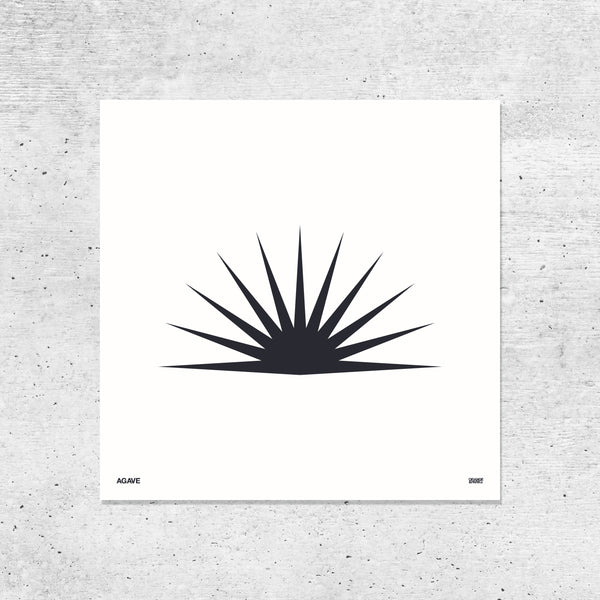 black and white succulent prints ORANGE & PARK – Succulent Prints